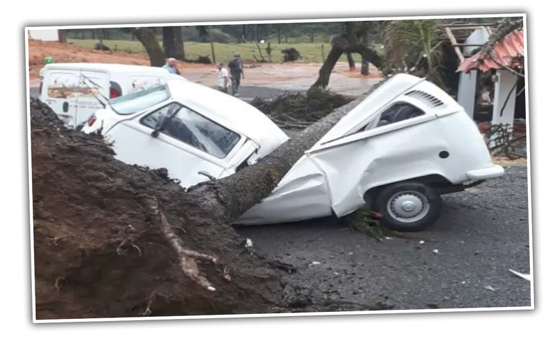 Illustration for article titled This Volkswagen Bus Isn't Going To Let Something As Stupid As Total Destruction Stop It